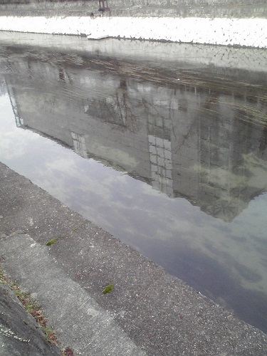 琵琶湖疏水記念会館前｜まったりタナゴ釣り