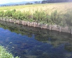 近江高島の用水路