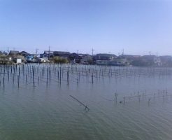 堅田のかや池｜まったりタナゴ釣り