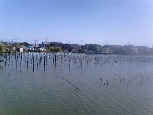 堅田のかや池｜まったりタナゴ釣り