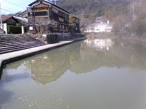 近江八幡の用水路｜まったりタナゴ釣り