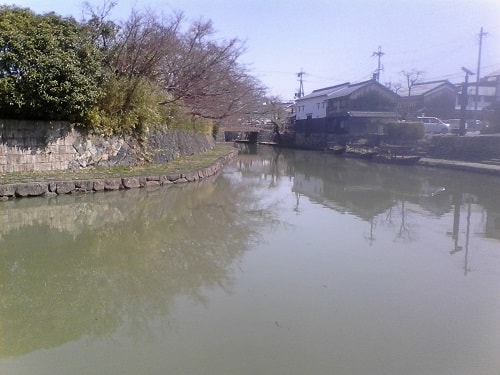 近江八幡の用水路｜まったりタナゴ釣り