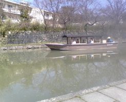 近江八幡の用水路｜まったりタナゴ釣り