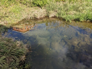 長岡京市の小泉川へリベンジの釣行！タナゴは釣れたのか？