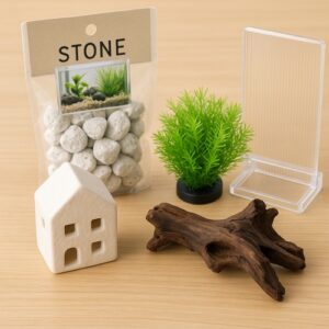 メダカの水槽｜100均で始める初心者向け手軽アクアリウムガイド